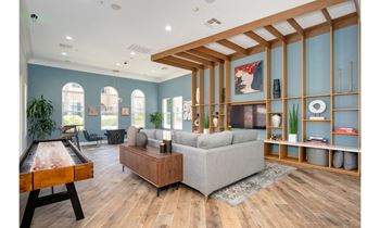 Lounge and Game Room